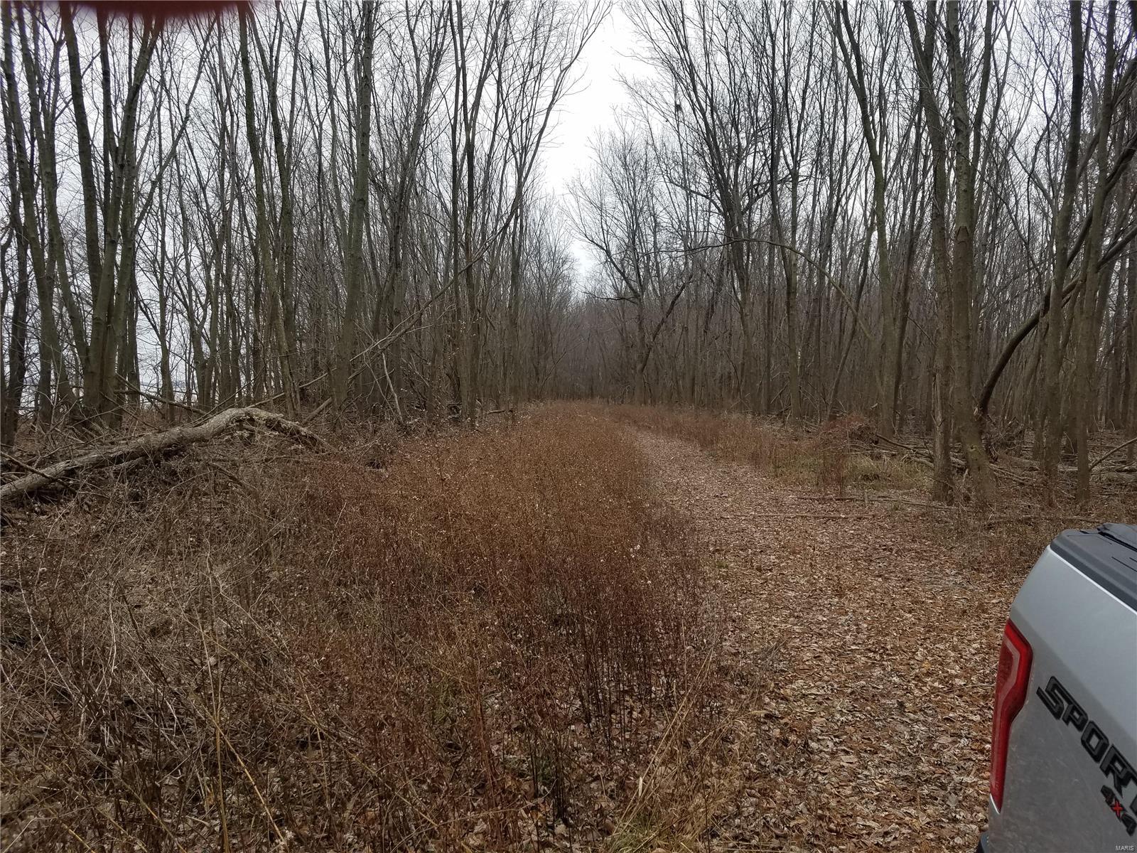 David Nicholson Sub - Farm