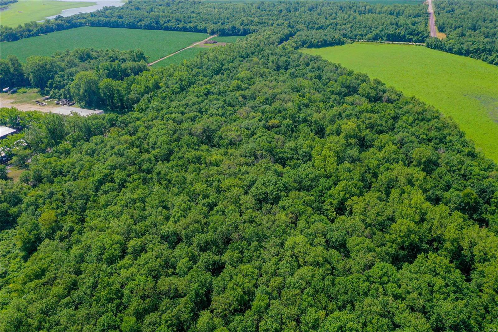 David Nicholson Sub - Farm