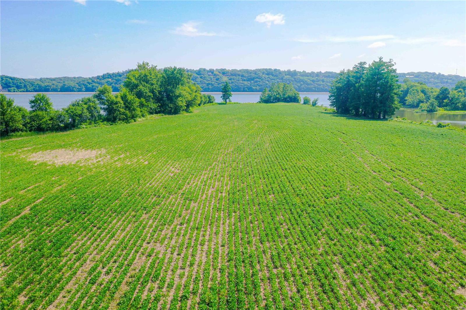 David Nicholson Sub - Farm