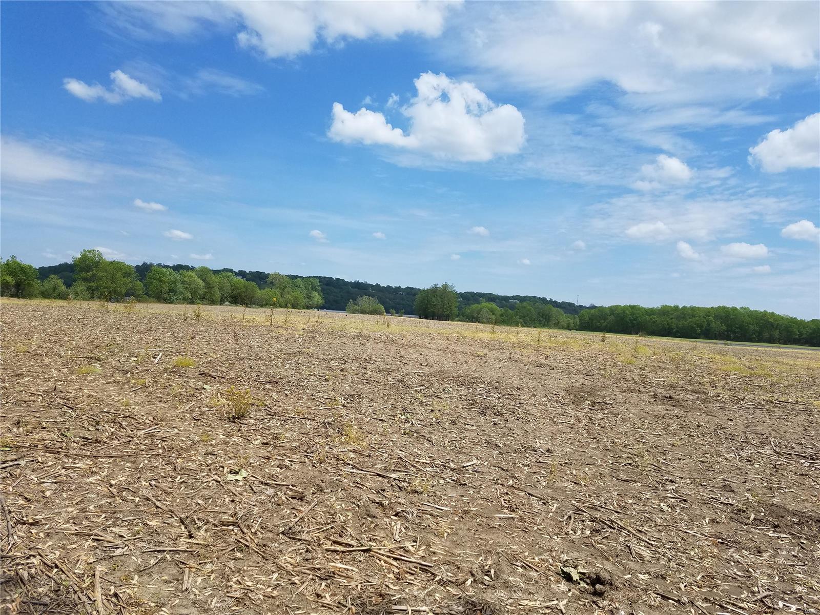 David Nicholson Sub - Farm