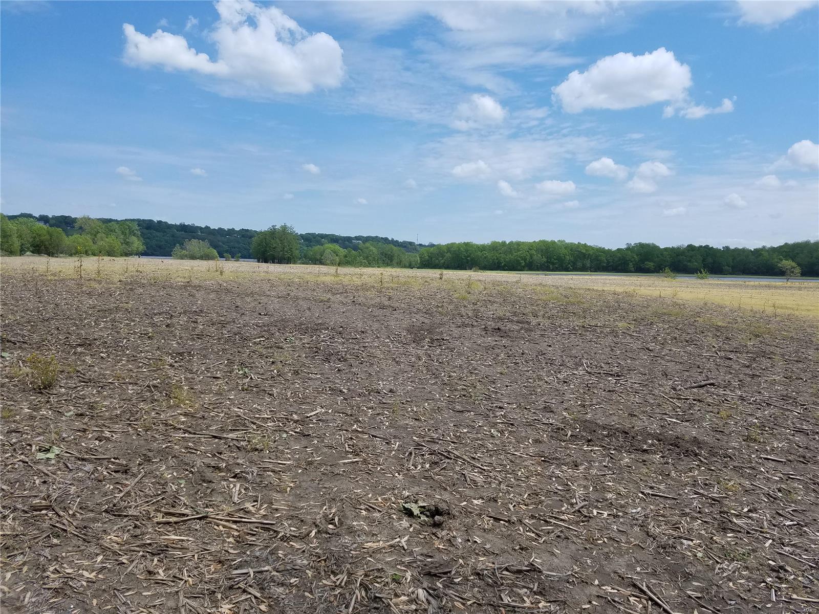 David Nicholson Sub - Farm