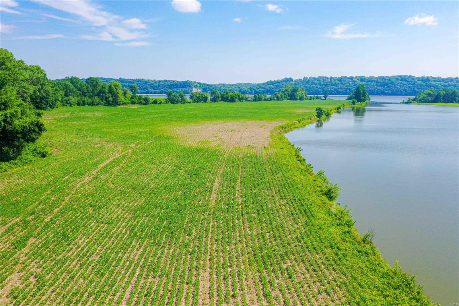 David Nicholson Sub - Farm