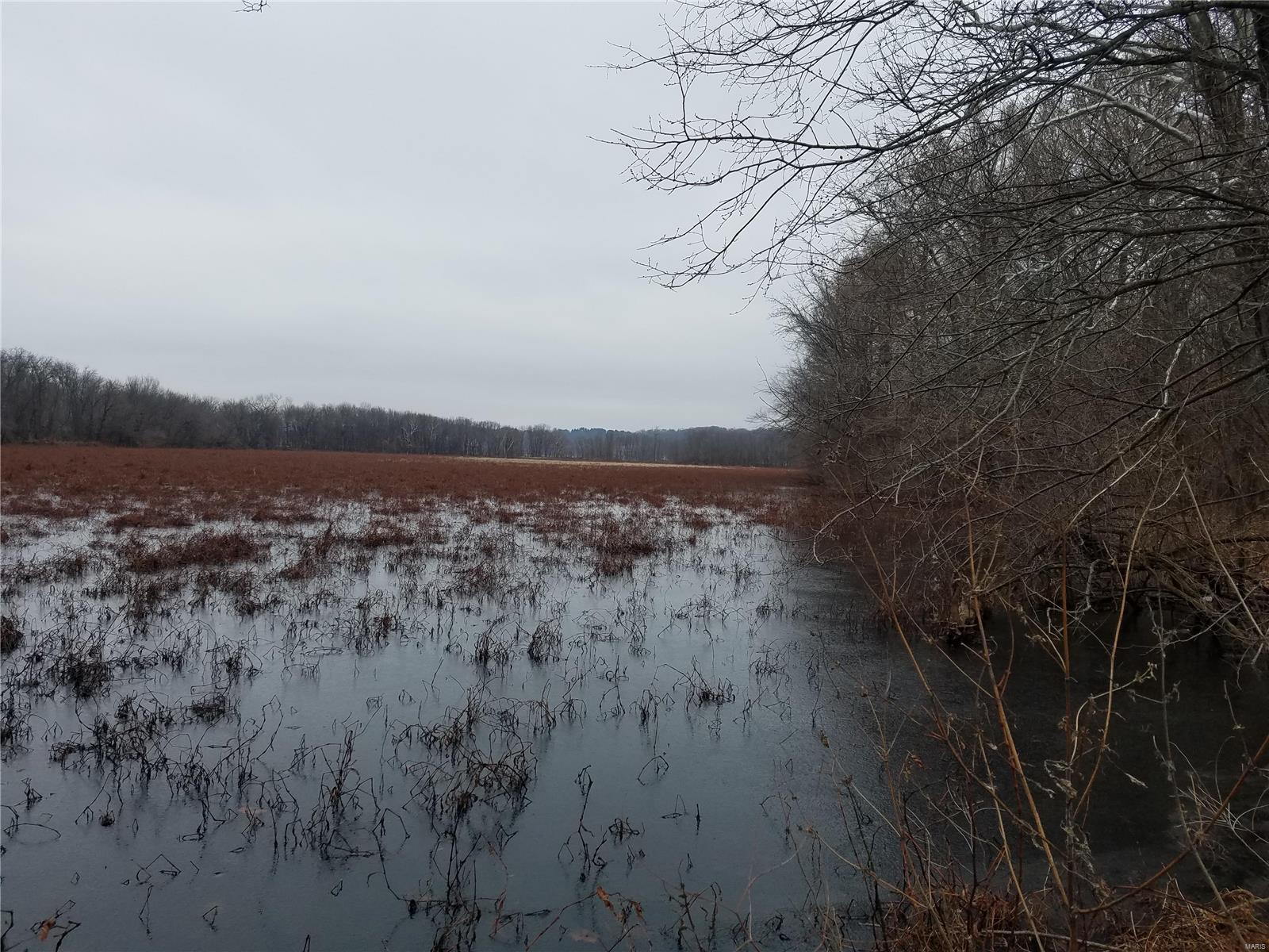 David Nicholson Sub - Farm