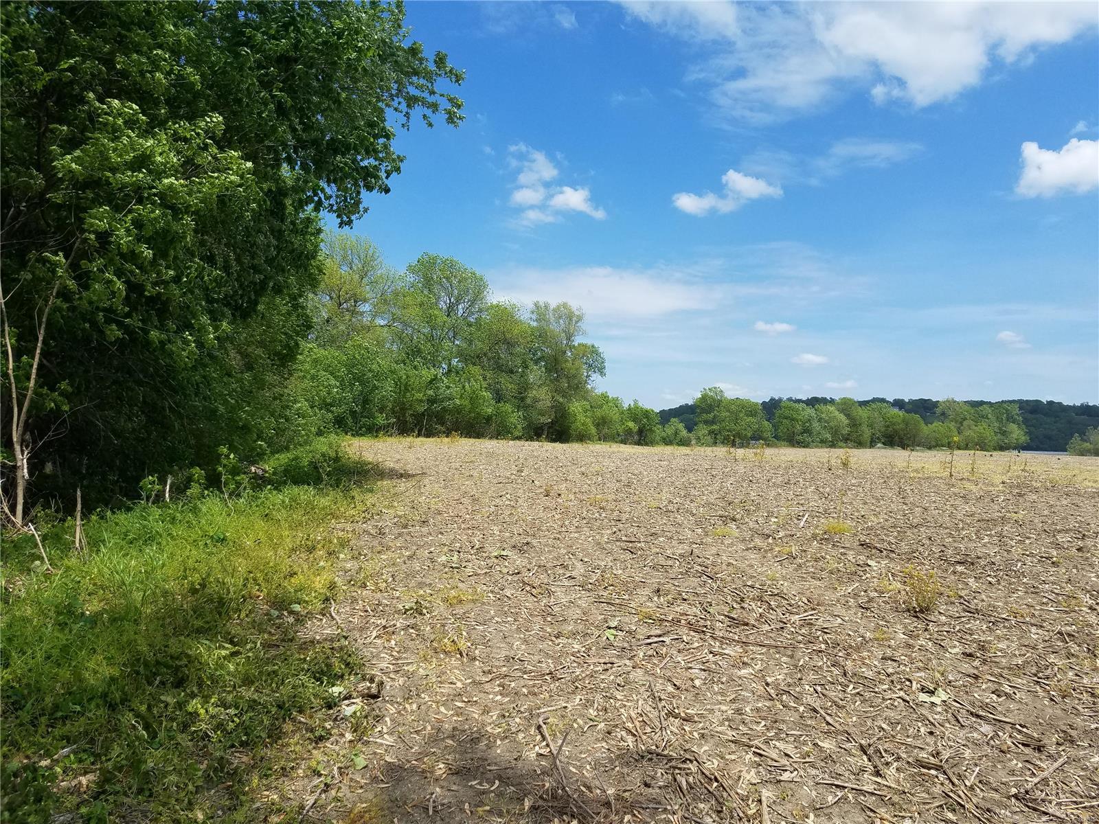 David Nicholson Sub - Farm