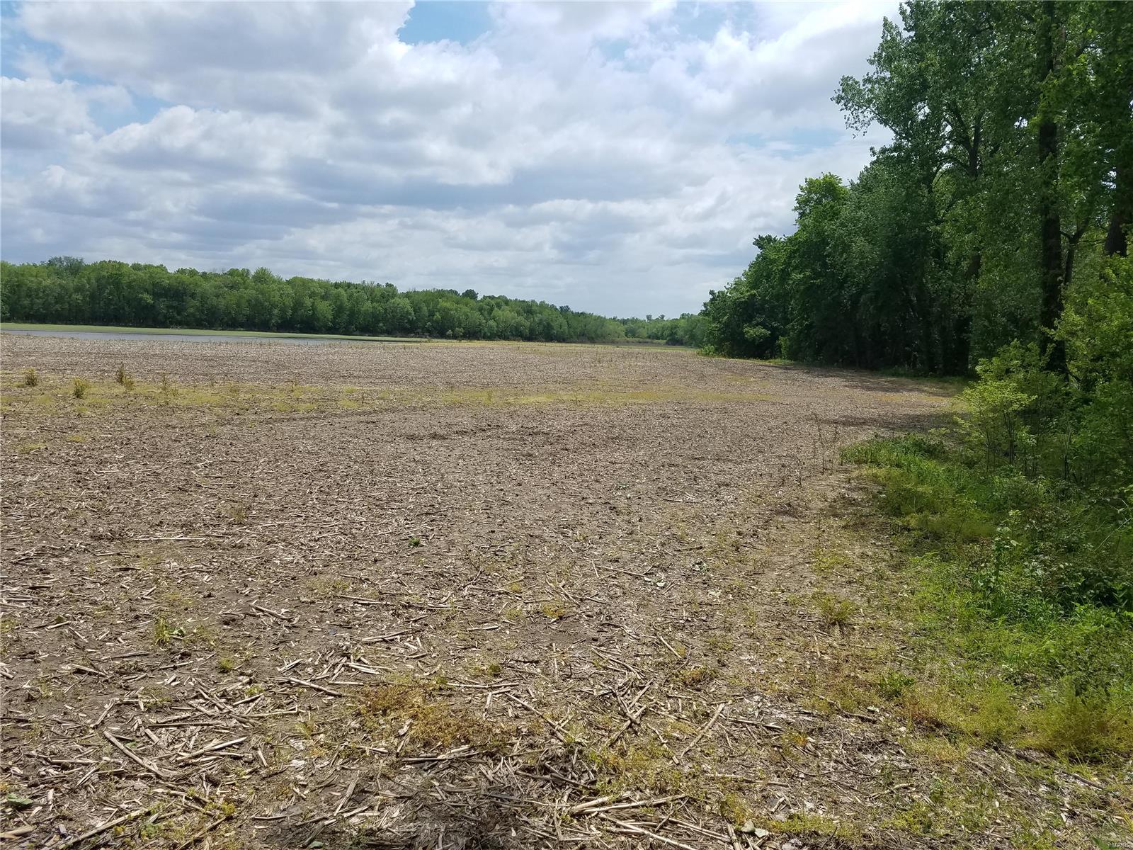 David Nicholson Sub - Farm