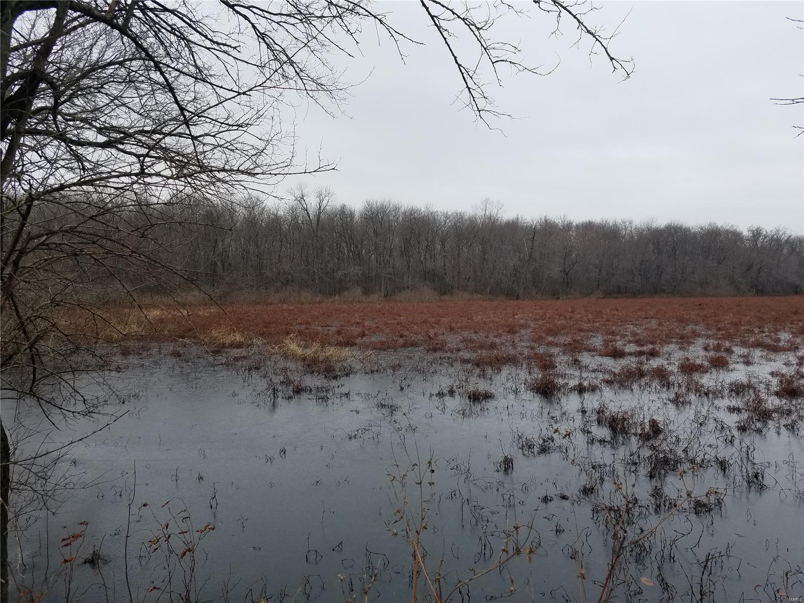 David Nicholson Sub - Farm