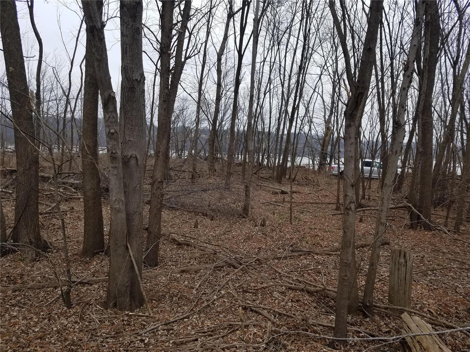 David Nicholson Sub - Farm