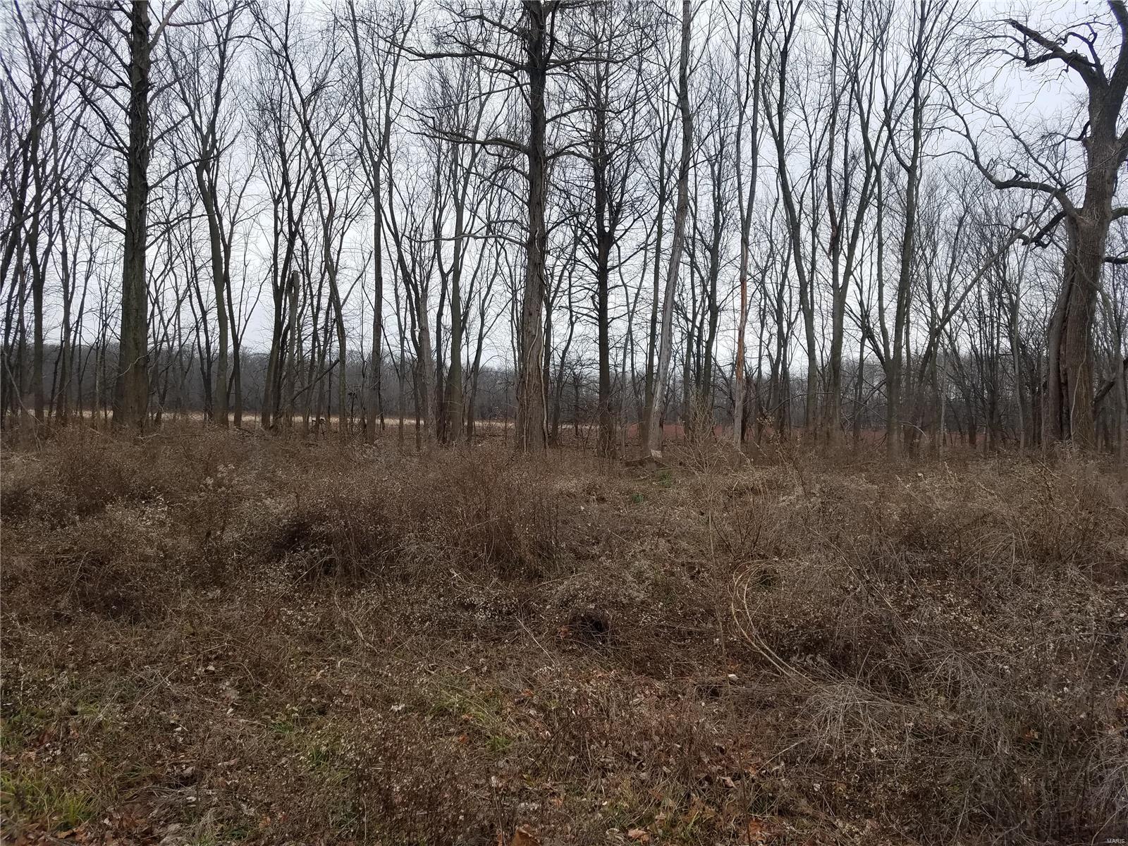 David Nicholson Sub - Farm