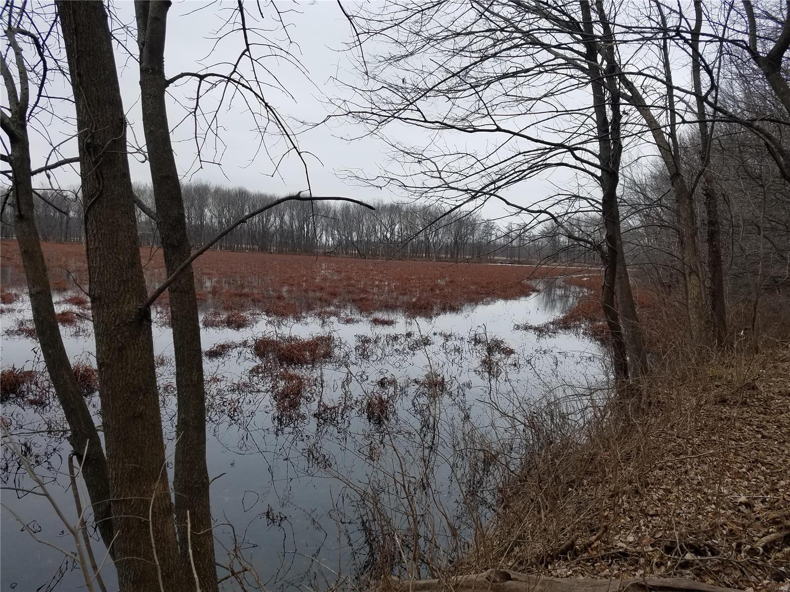 David Nicholson Sub - Farm