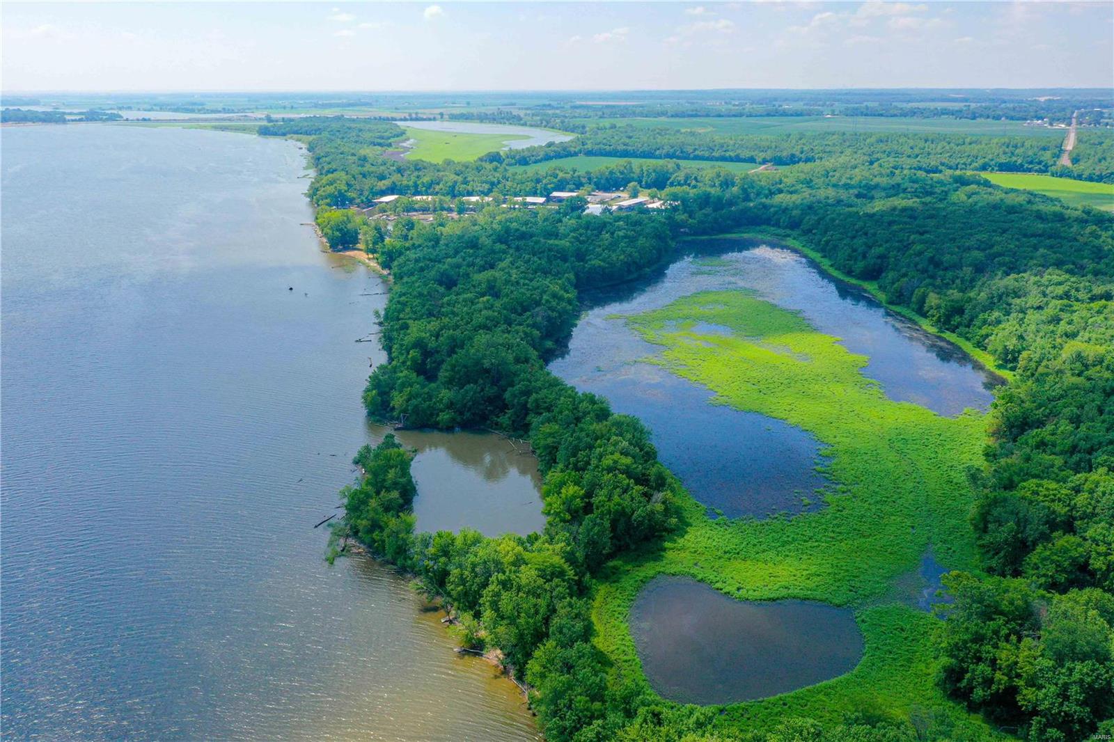 David Nicholson Sub - Farm