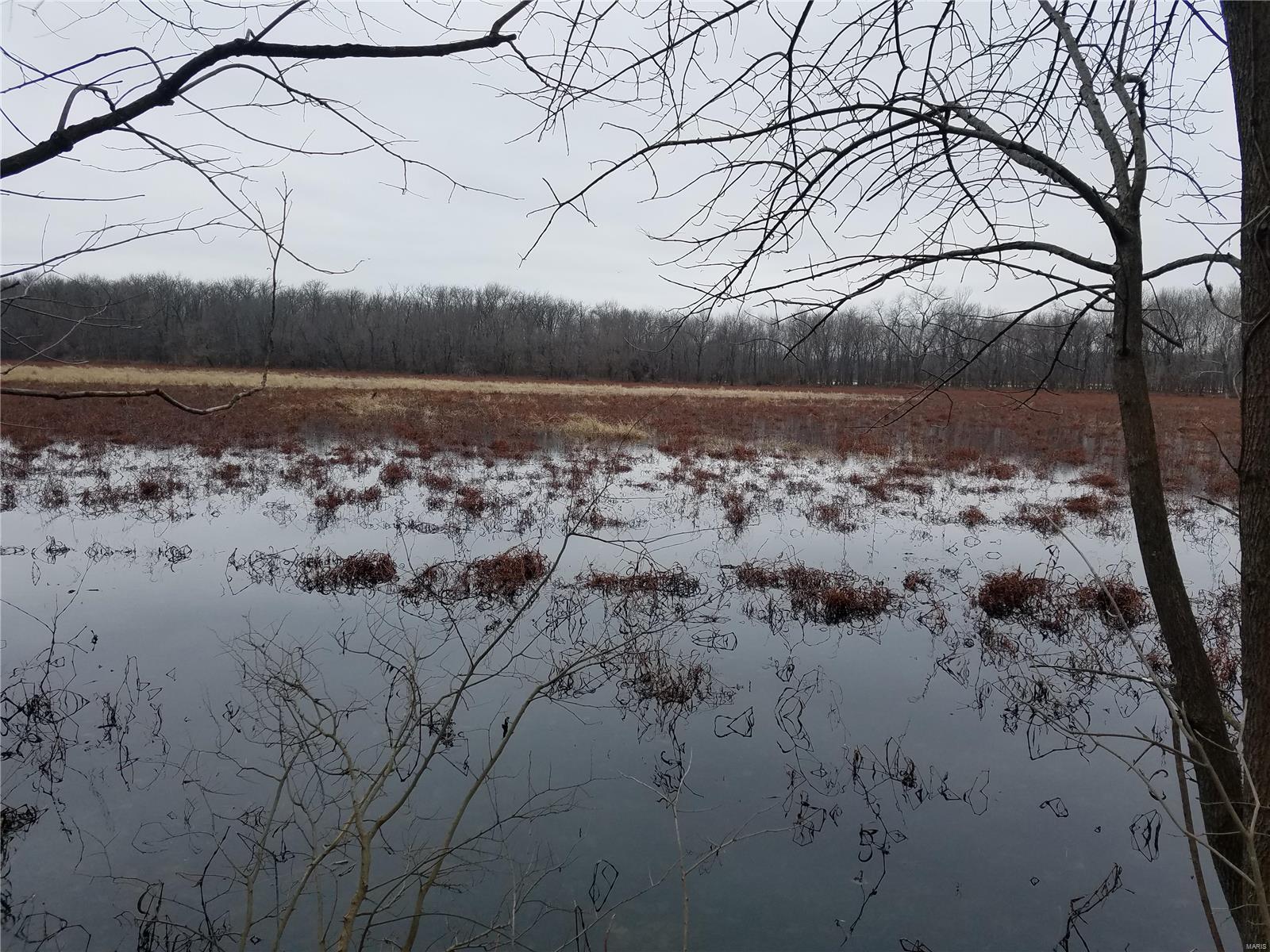 David Nicholson Sub - Farm