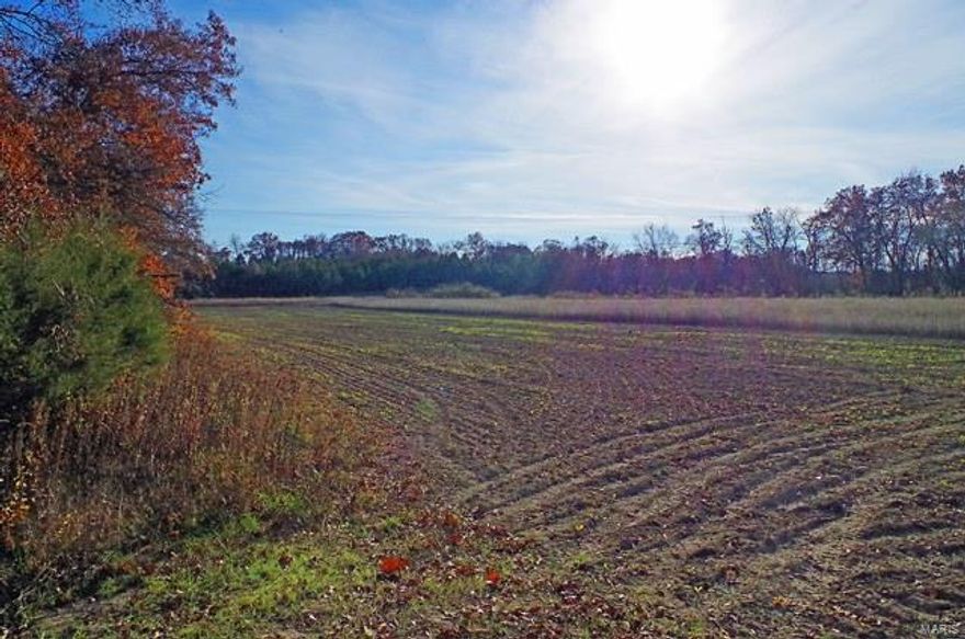 132 Acres “Foristell”, St. Charles/Lincoln County, Missouri.  This 132 acre tract, located on Hunn and English Road is half in Lincoln and half in St. Charles County.  The property is 108 acres timber and heavy woods with a dry water branch running through the center of the property and 24 acres tillable ideal for hunting and recreation.  With over a mile of county road frontage this property could be easily subdivided into tracts for residential home sites or a large country estate.  Only 15 minutes North of Wentzville makes this an easy commute to the St. Louis Metropolitan area!