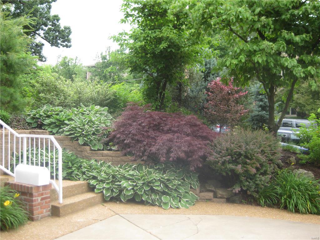 North Pointe Clayton - Residential