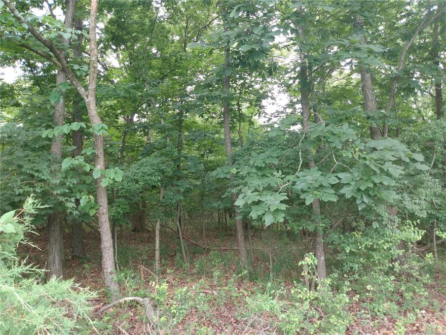 6.96 +/- acres located on the Jefferson/St. Louis County lines. Lot is wooded and in it's natural state.