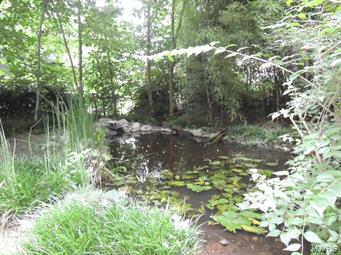 Pennsylvania Park - Residential