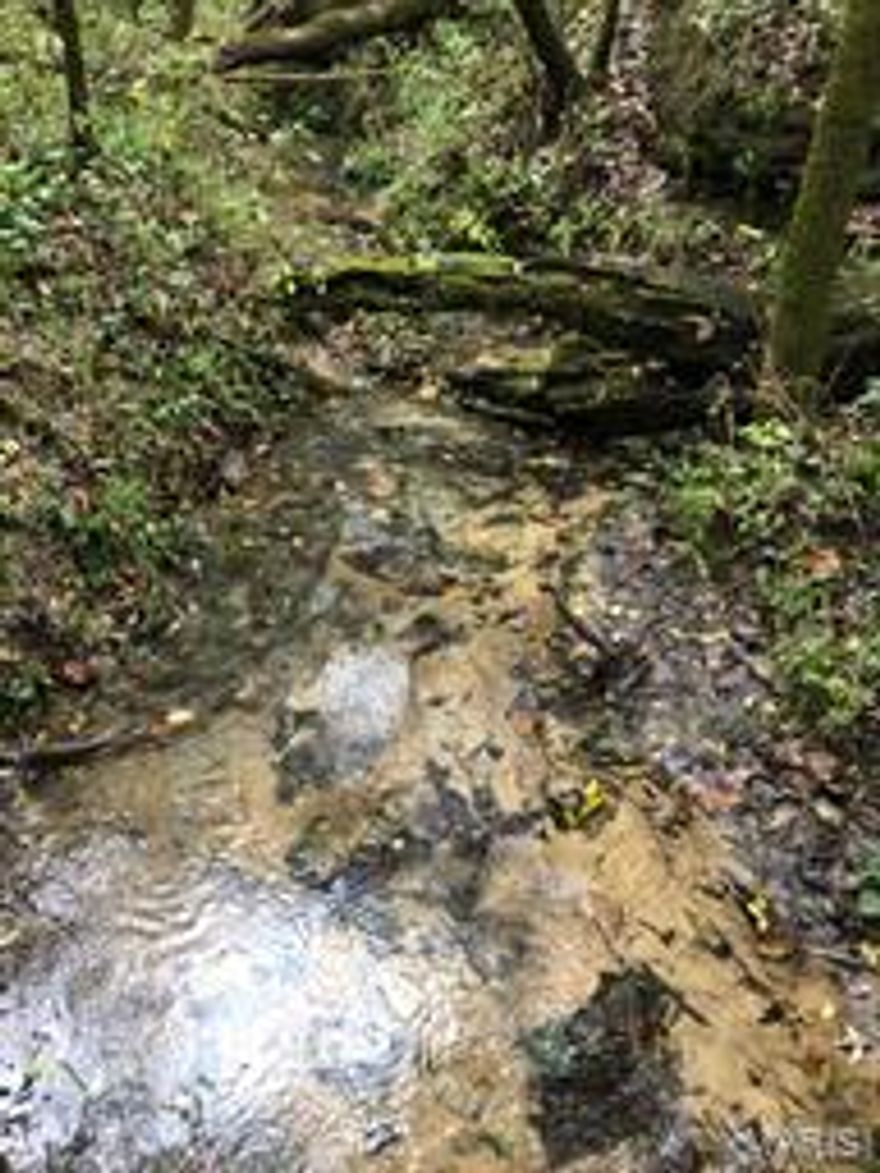 One of a Kind Property for Sale in the Missouri Ozarks!  This is 763 Acres m/l with almost a mile of Big Piney River frontage, 9 Springs, Marketable Timber. Property is all wooded except for food plot areas. Property includes a hunting cabin built in 1900s, a natural chimney rock formation that is about 30 ft. in diameter & 60-70 ft. in height, "Turkey Rock" overlooks Arthur Creek, waterfalls, an abundance of wildlife AND this property is located only about 8 miles from Licking, MO!

This property is located in Texas County, Prescott Road, Licking, MO.  It is near Montauk State Park, Boiling Springs and  has Big Piney River Frontage!