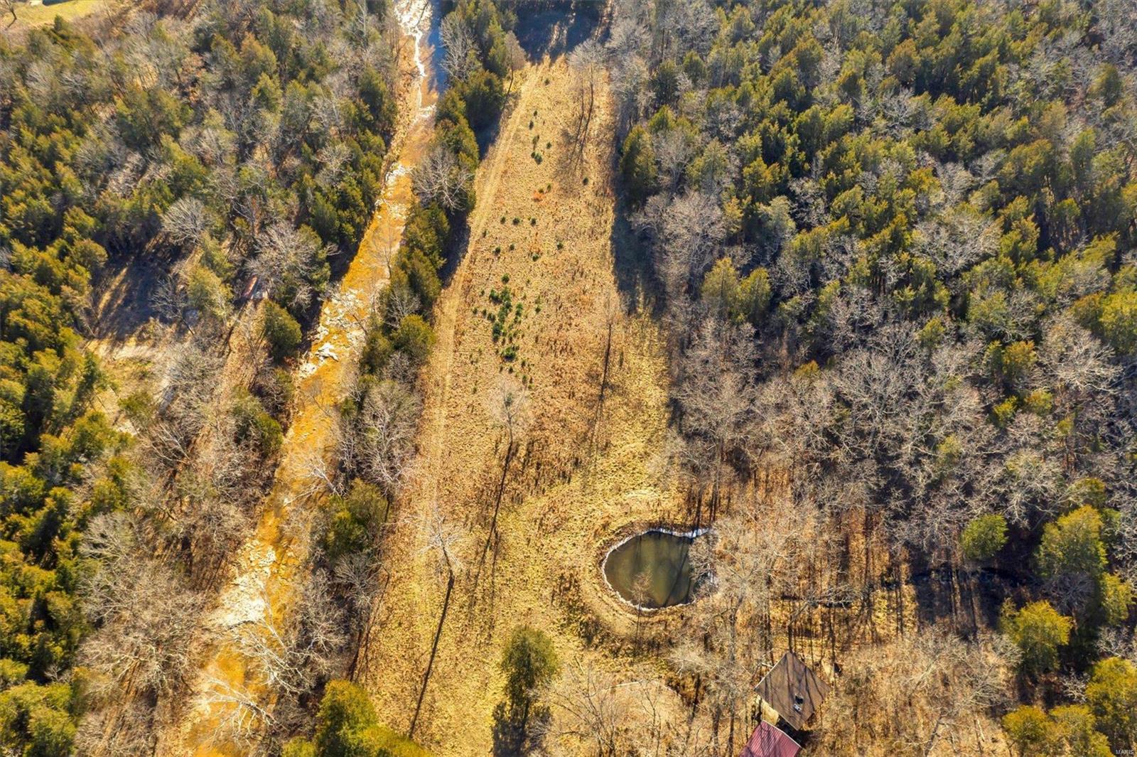 Brook Hollow 02 - Land