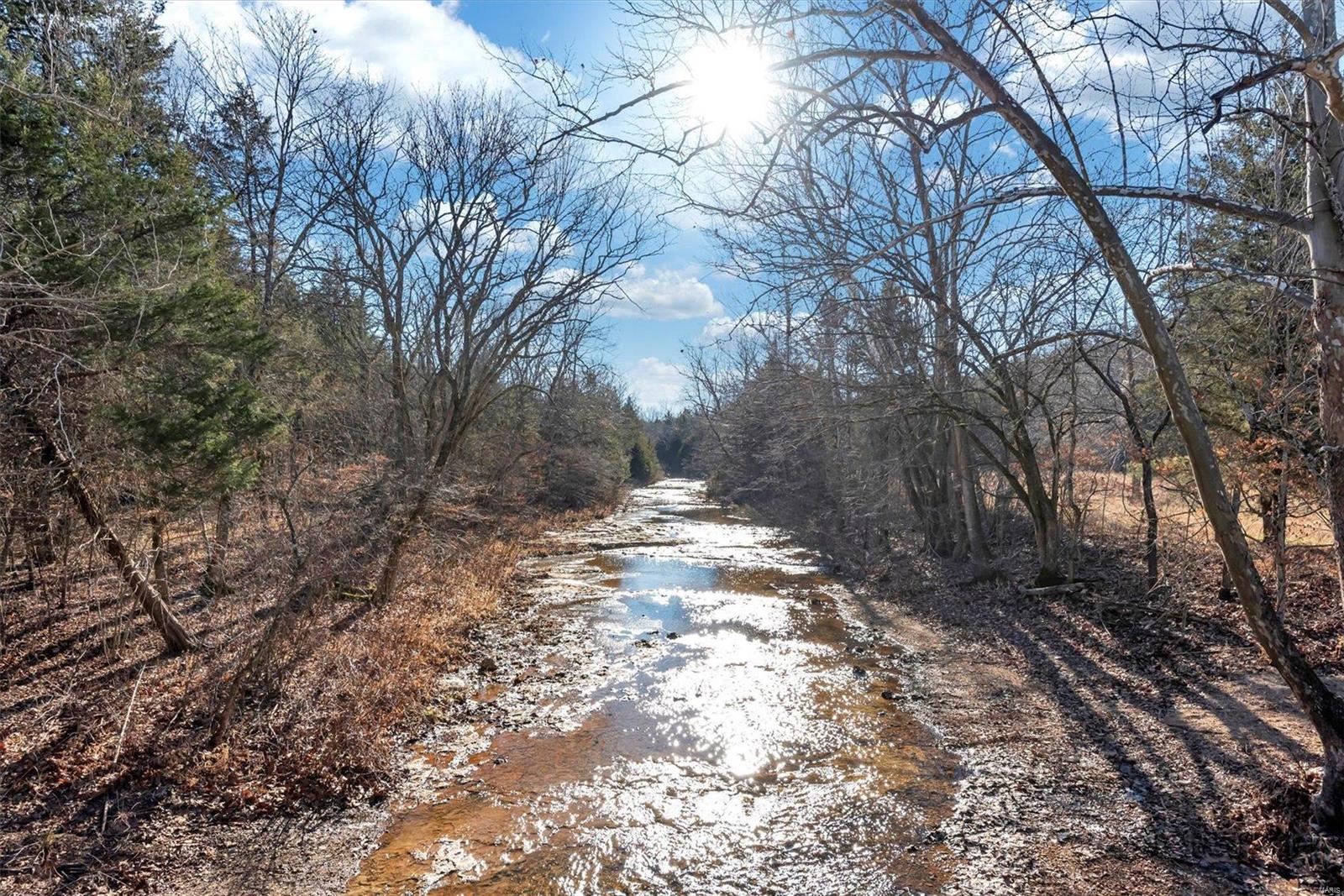 Brook Hollow 02 - Land