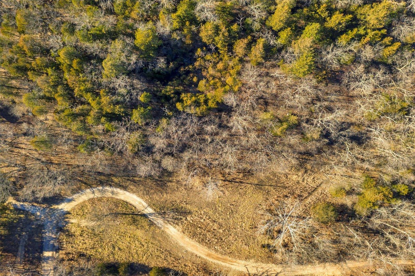 Brook Hollow 02 - Land