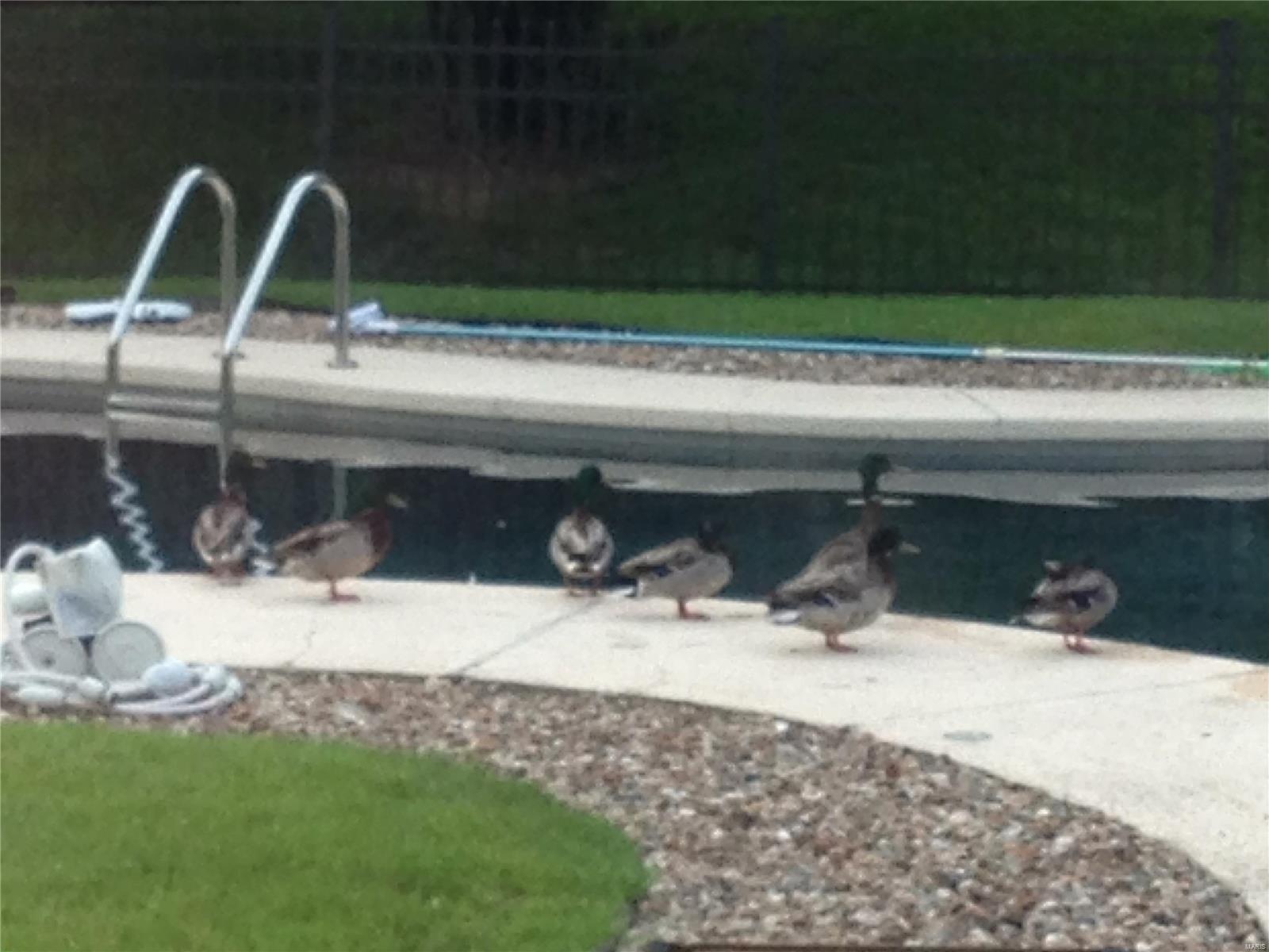 Samuel Hibler Estate Sub&Templeton Pl - Residential