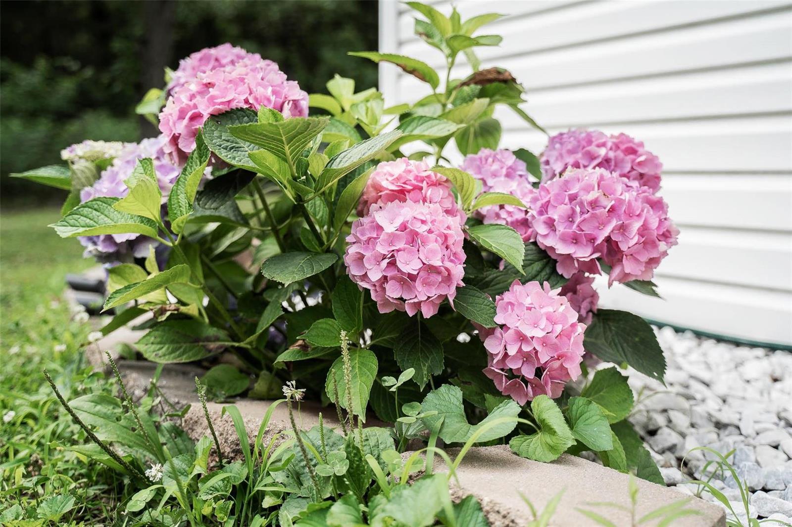 Woodland Place - Residential