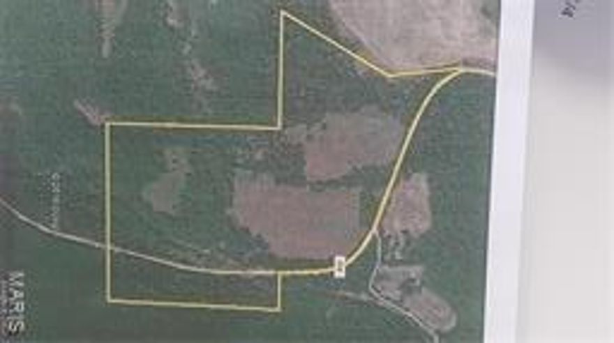 73 AC.  Spring fed creek, 2 sides of national forest. Aprox 70/30 marketable timber, 30 pasture. 2 ponds. blacktop road frontage. Electric near by.  3 parcels, 1 across the highway AE.
For sold/comp purpose only