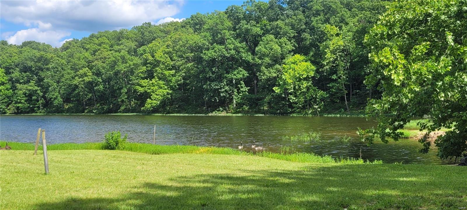 Lake Thunderbird - Land