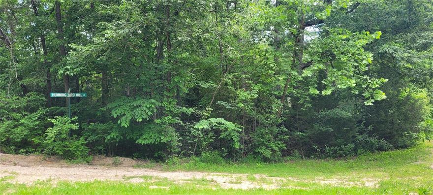 Rare Find! Great lot for Raised Ranch if you are looking to build. Beautiful Lake to enjoy, has picnic area and boat ramp for lot owners. Lot needs some clearing.  If you are looking for a place just to get away, this lot is less than an hour from downtown St Louis, only a few miles off Interstate 44. Be sure to drive around to see the well maintained picnic area and Boat ramp. Oh, and the baby geese! Additional Rooms: Other