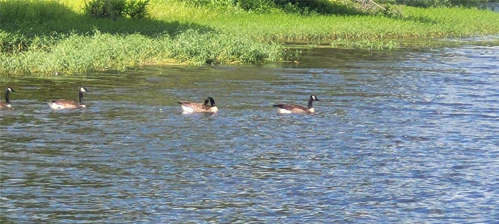 Lake Thunderbird - Land