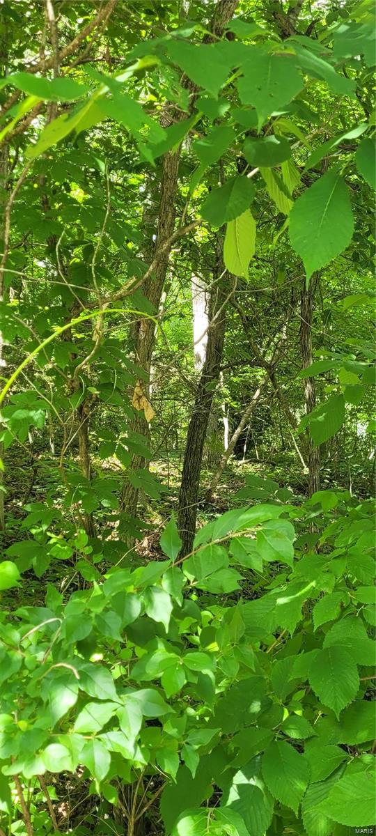 Lake Thunderbird - Land