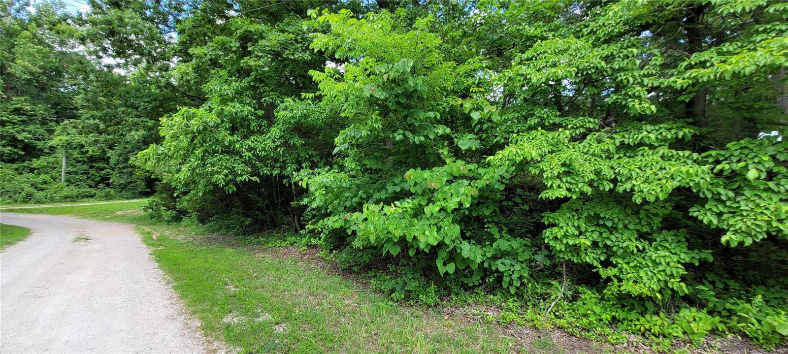 Lake Thunderbird - Land