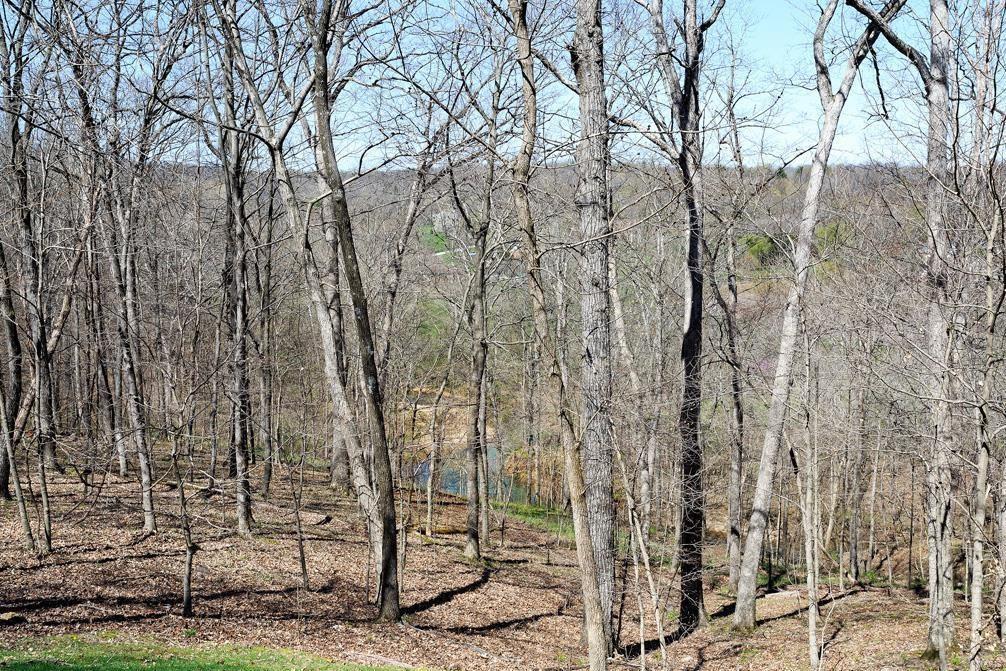 Arbor Trace - Residential