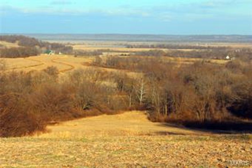 You've looked a long time for that perfect property to get-a-way from it all... Here's what you've been waiting for!! This 200 Ac+ is located in the beautiful rolling hills of NE Lincoln Co with some of the prettiest views you will find in your lifetime!! The farm includes hwy frontage & a small bridge that welcomes you across the creek, allowing you to enter this unique hideaway. There's a  modest 3bd cabin w/ outbuildings and deep well. Atop the hill, you will be one of the first people to see the sunrise over the Mississippi River Bottoms in the morning & you'll especially enjoy every display of beauty as the sun sets behind Oak Ridge. This is certainly a one-of-a-kind place - outstanding deer and turkey hunting w/ timbered draws and funnels. 67 Acres of tillable ground that keeps the wildlife happy while bringing you an income! Water is supplied by a couple farm ponds and 2 meandering creeks that provide excellent locations for those small hunting plots. This farm is a must see...