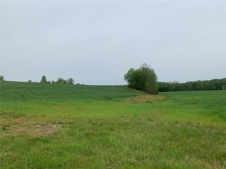 This beautiful piece of land is located just outside of Chaffee in the Kelso C7 school district. Boasting over 9 acres and scenic rolling hills, it would be the perfect place to build your forever home or to invest in recreational or farm land.