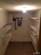 Survey 2476 Sec 00 Township 46 Range 6 - Residential