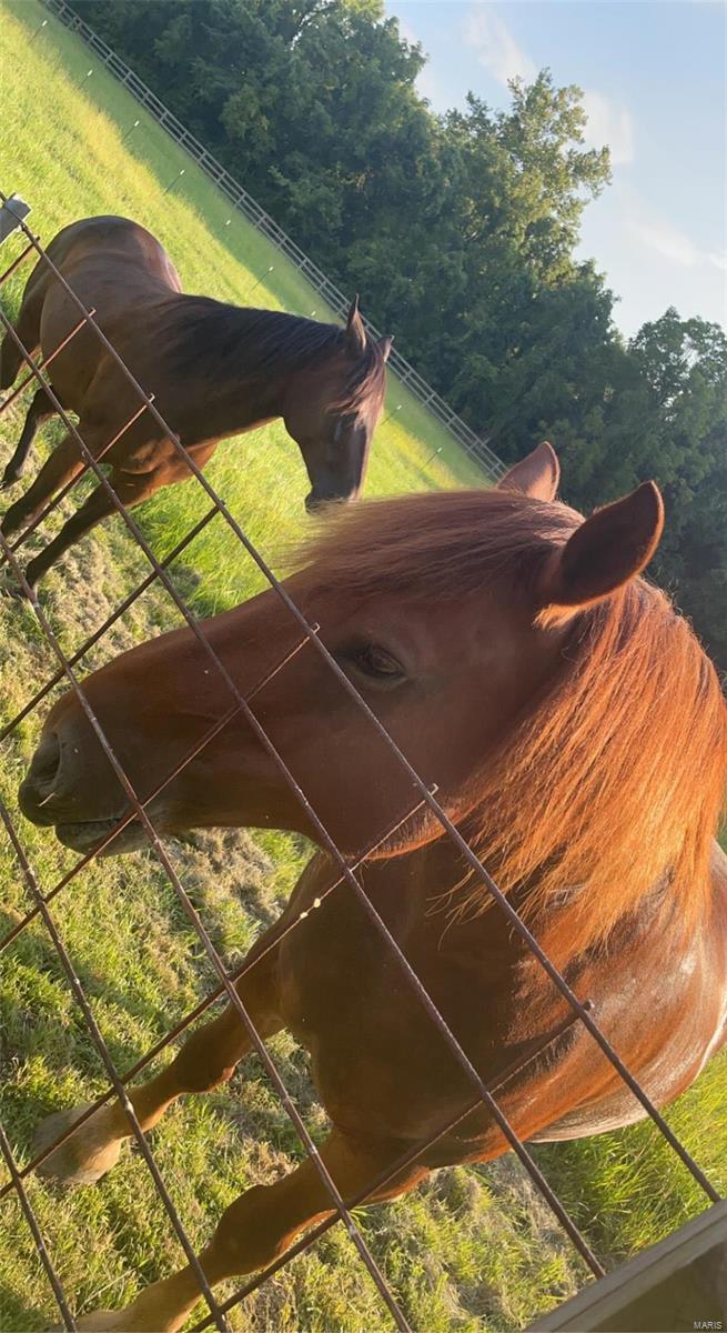 Genesee Park Condo Ph 1 & 2 - Residential