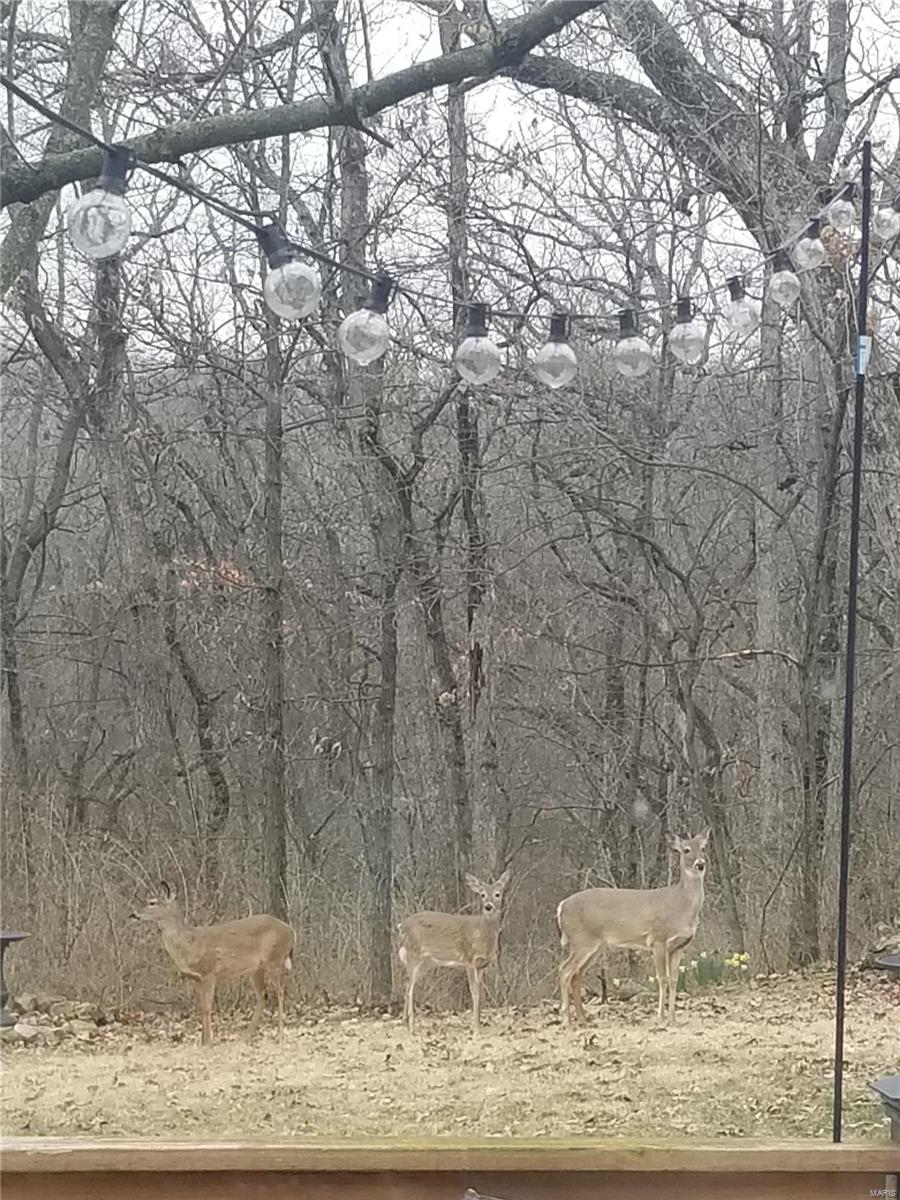 Winter Valley - Residential