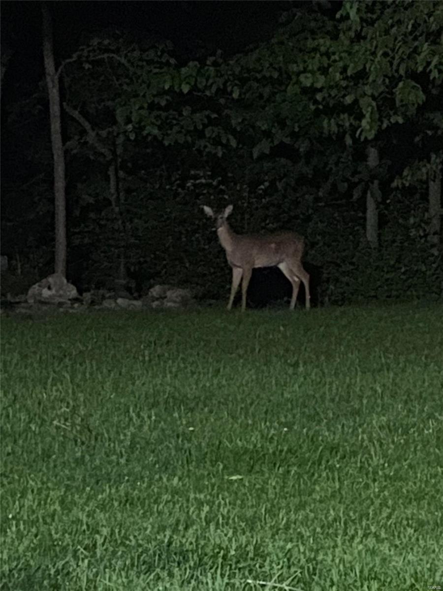 Winter Valley - Residential