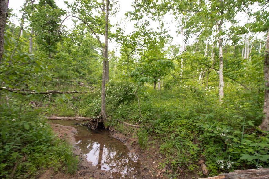 ****ATTN HUNTERS*** Looking for hunting ground close to St. Louis??  Well look no further!!! This UNRESTRICTED 40 acre secluded hideaway in the highly desired Southern Lincoln County just south of Hwy U offers thick bedding areas, watering holes along the creek bed, plenty of low and dense vegetation for foraging.  This beautiful wooded tract offers several building sites along the ridge tops, potential lake sites, a creek that winds through the property,  and several trails throughout the property that are perfect for ATV's.  Don't let this spectacular piece of property pass you by.  Buy your land now, they are not making any more of it!!!!  **pictures are of entire 80 acre property. Aerial views are estimates of 40 acres final survey will show exact lines of 40 acres.