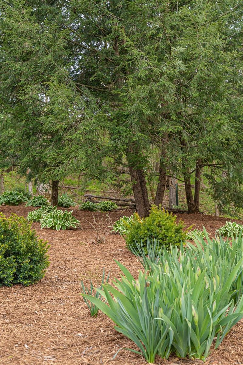 Forest Hills Sub. - Residential