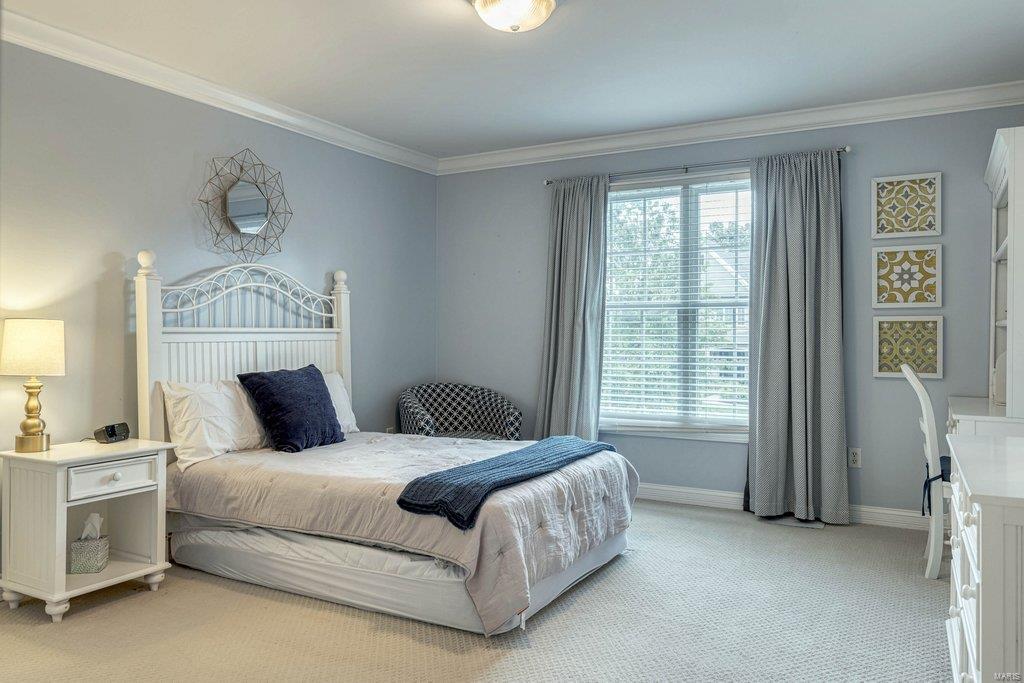 Appaloosa Way - Residential