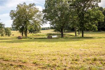 NON SUBDIVISION - Farm