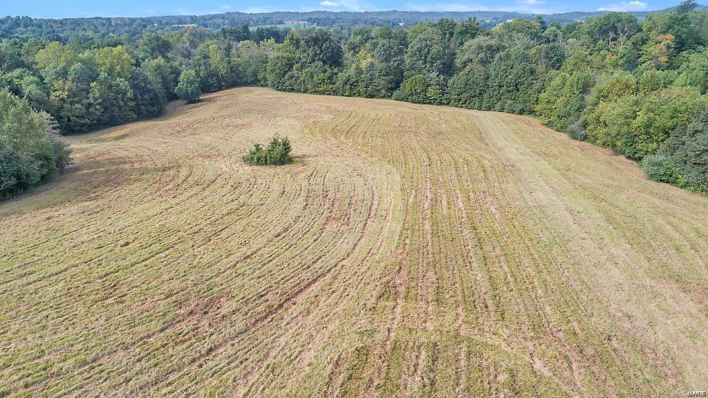 Mathes Woods Estate - Farm