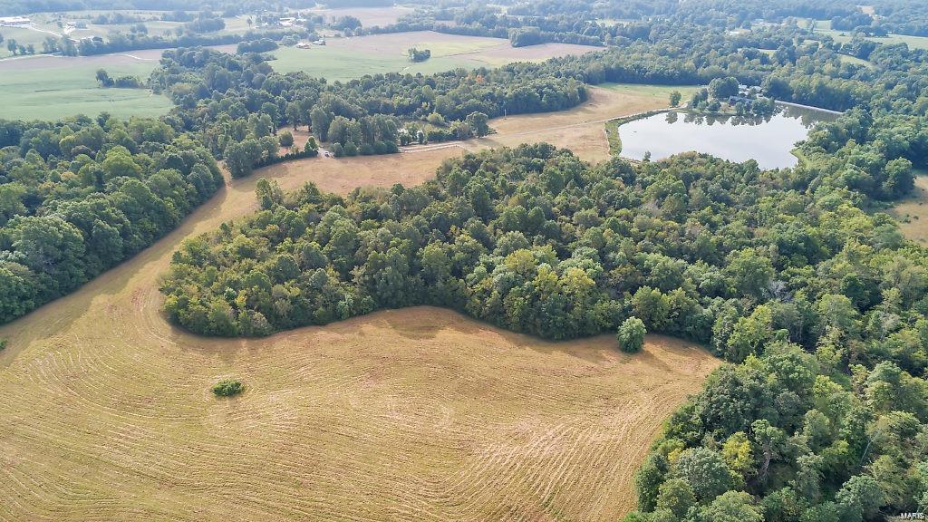Mathes Woods Estate - Farm