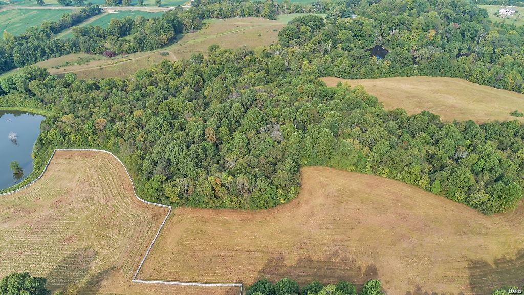Mathes Woods Estate - Farm