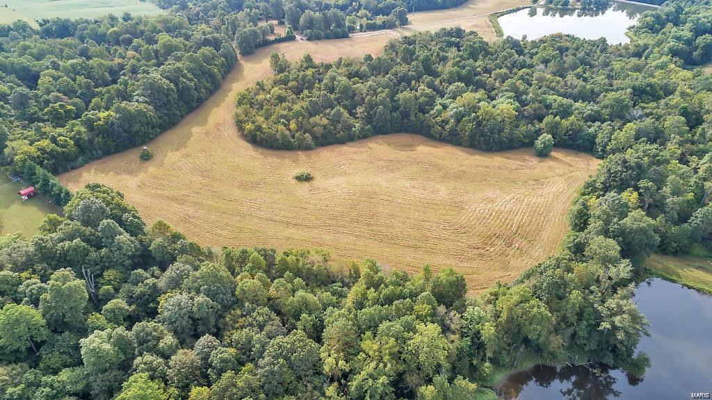 Mathes Woods Estate - Farm