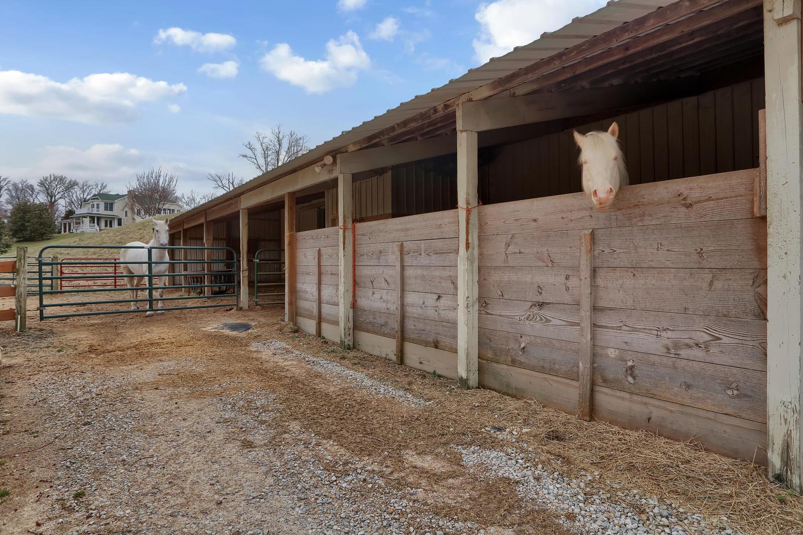 Wildhorse Creek Bluffs - Residential
