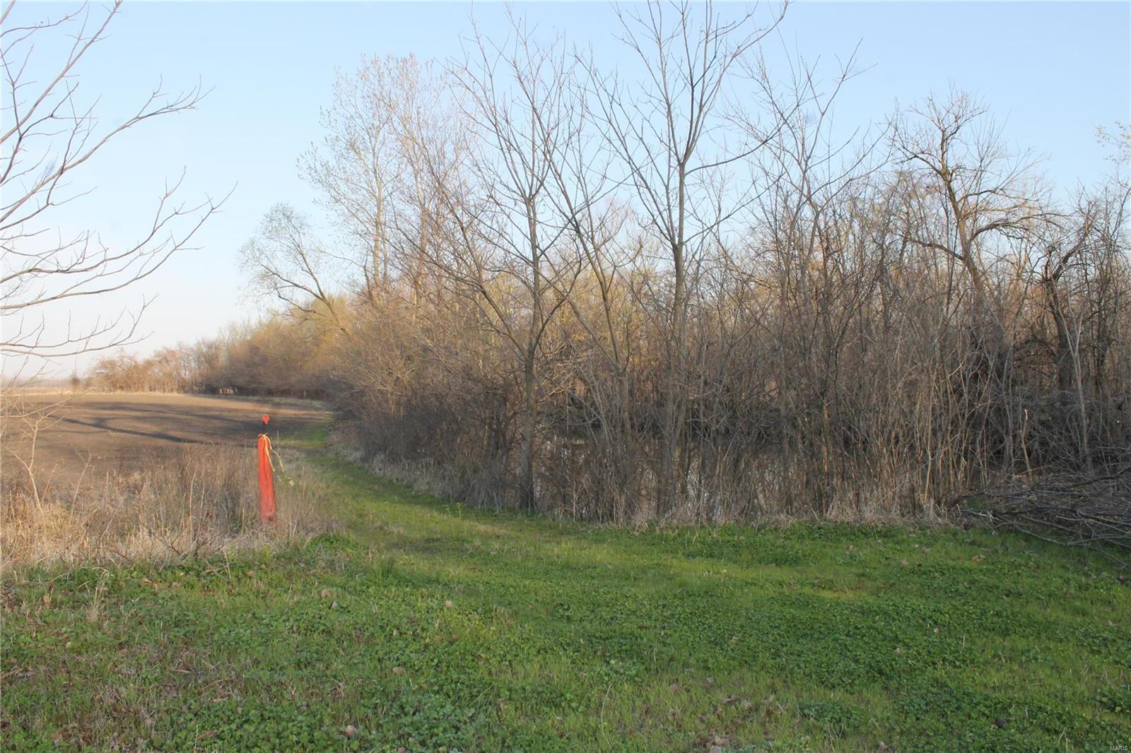 None - Farm