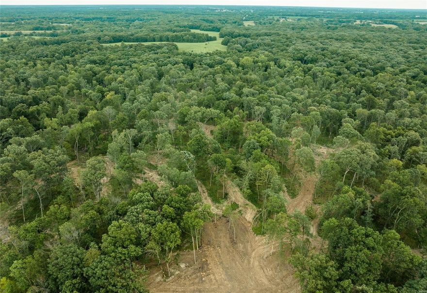 If you have been looking for some affordable north Missouri hunting land, then look no further! This 21ac wooded parcel is home to many whitetail deer, and wild turkey. There is county road frontage and less than a mile off of the highway. There is also a leveled and cleared building site perfect for a getaway cabin  or your dream home. There are multiple trails for great utv or horseback riding. Located between Moberly and Madison and just a short drive from Columbia.