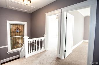 Skinker-DeBaliviere - Residential